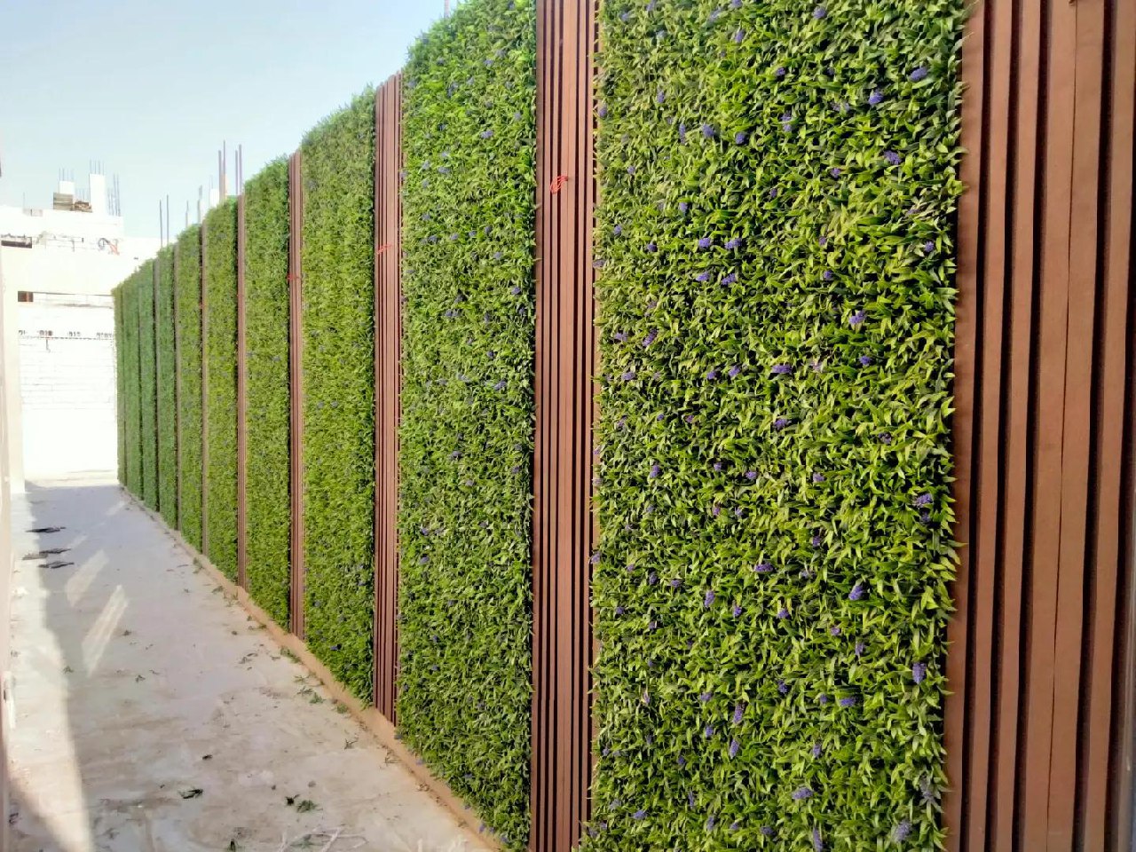 تنسيق حدائق الأحساء